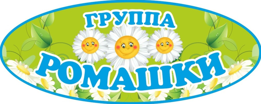 Юные исследователи из гр. "Ромашки".
